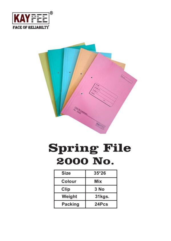 SPRING FILE NO. 2000