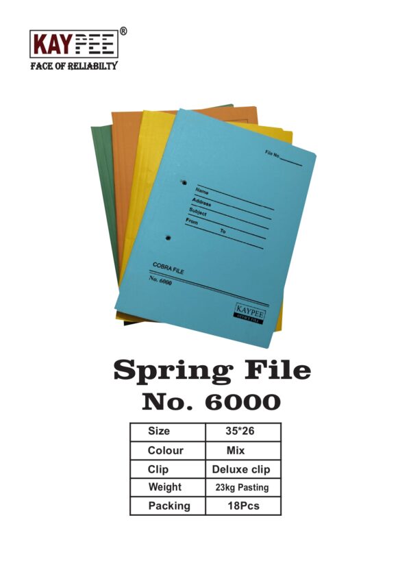 SPRING FILE NO. 6000