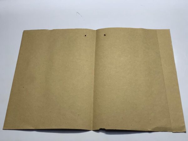 RECORD FILE NO. 300 - Image 2